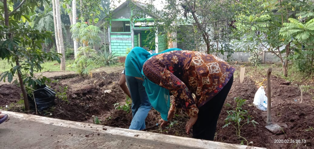 Budi Daya Tanaman Pangan Sman 1 Bringin Kab Semarang